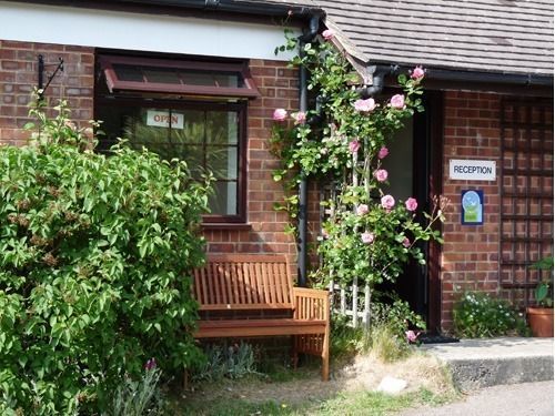 Spindlewood Country Holiday Park - Caravan Park Гастингс Экстерьер фото